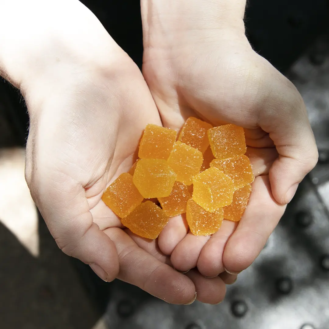 CBD: CBN : THC Sleep Gummies — Sample Pack - Image 3