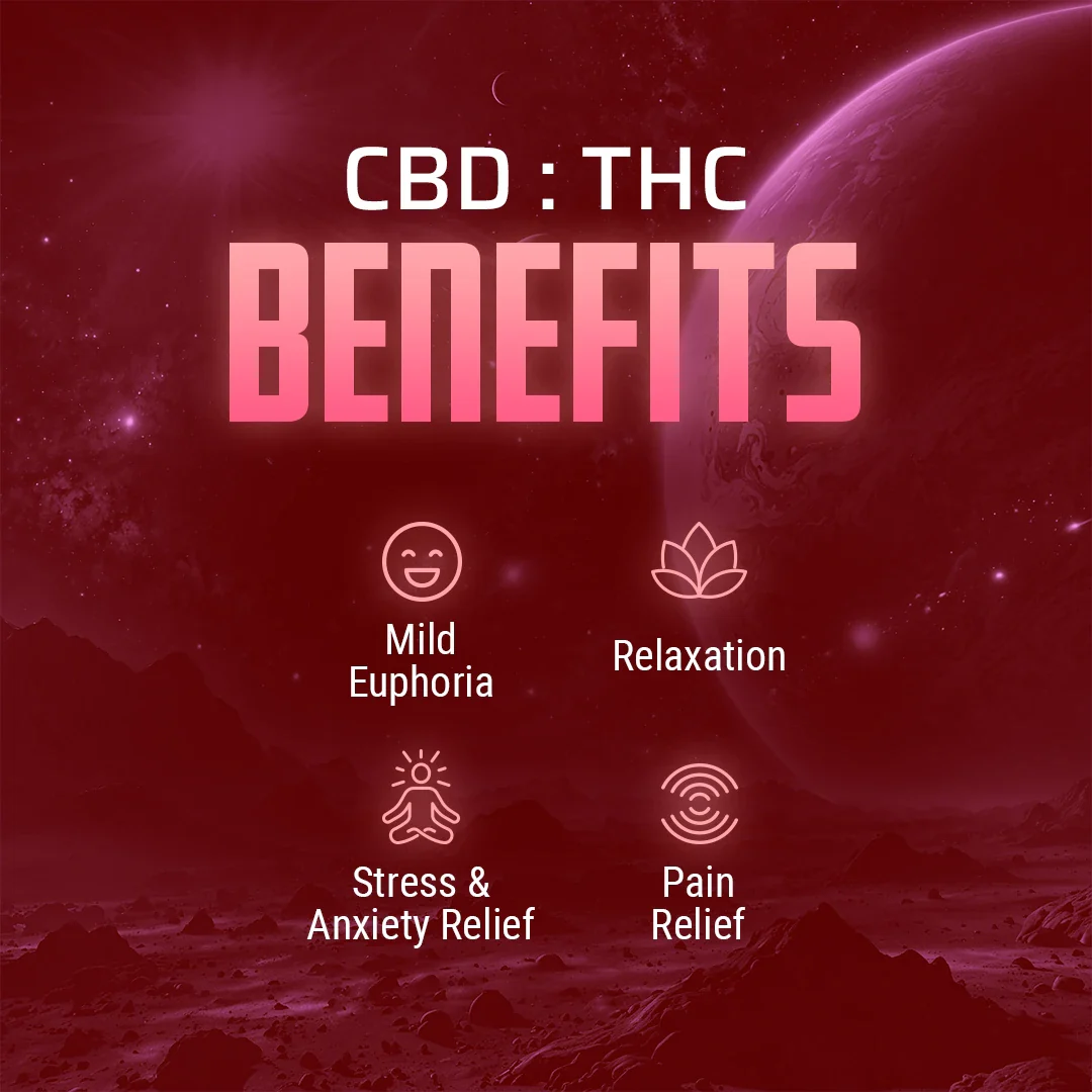CBD : THC Gummies — Citrus Berry - Image 4