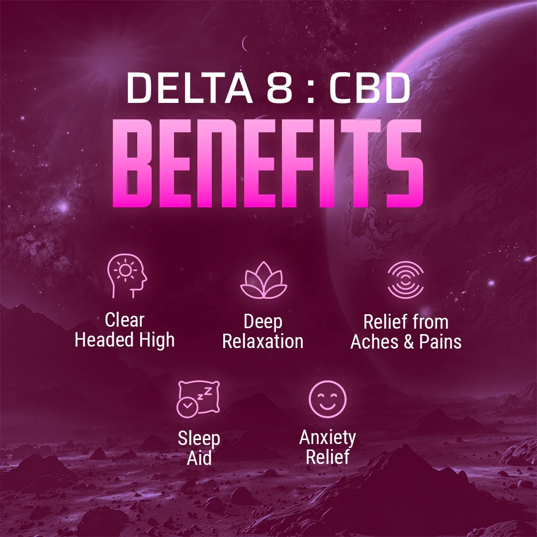 Delta 8 : CBD  — Black Raspberry - Image 5